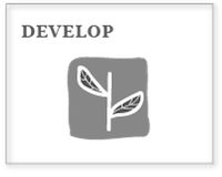 box_develop